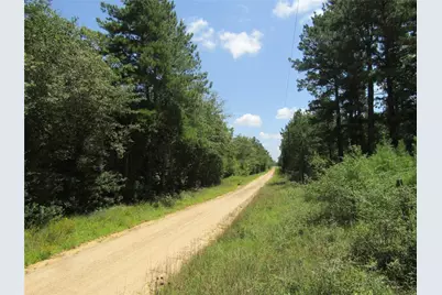 560 County Road 4502, Hillister, TX 77624 - Photo 1