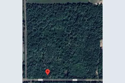 560 County Road 4502, Hillister, TX 77624 - Photo 3