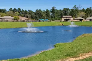 38202 S Lost Creek Blvd, Magnolia, TX 77355 - Photo 5