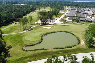 7419 Caprock Cyn Ln, Porter, TX 77365 - Photo 39