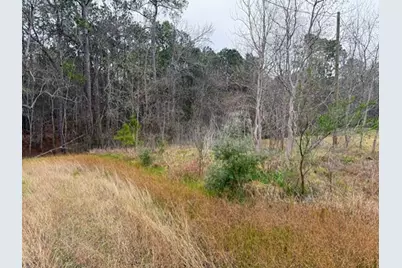 0 Hwy 61, Anahuac, TX 77514 - Photo 7