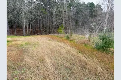 0 Hwy 61, Anahuac, TX 77514 - Photo 3