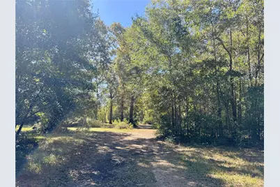 9572 State Highway 146 S, Livingston, TX 77351 - Photo 5