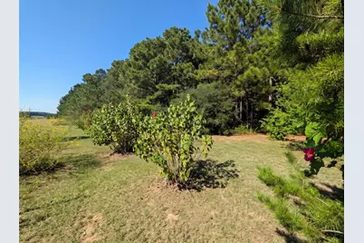 31 Rose Hill Road, Coldspring, TX 77331 - Photo 13