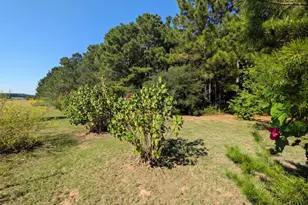 31 Rose Hl Rd, Coldspring, TX 77331 - Photo 13