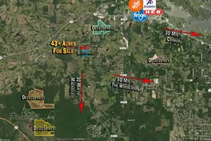 Tbd Spring Branch Rd, Montgomery, TX 77316 - Photo 3