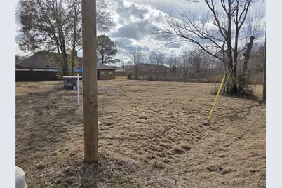 0 Texas Avenue, Arcola, TX 77583 - Photo 7