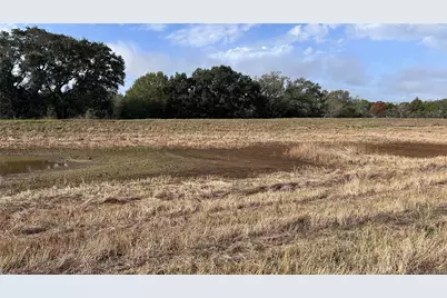 4810 Teal Lane, Columbus, TX 78934 - Photo 5