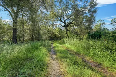 18760 Pin Oak Road, Conroe, TX 77385 - Photo 11