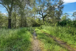 18760 Pin Oak Rd, Conroe, TX 77385 - Photo 11