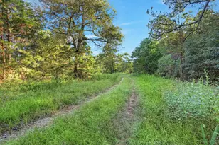 18760 Pin Oak Rd, Conroe, TX 77385 - Photo 9