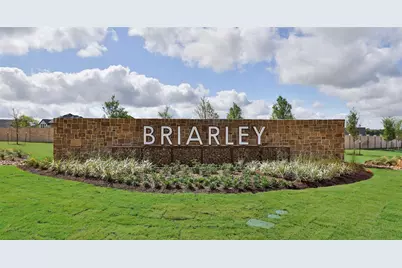 1207 Basset Hound Drive, Montgomery, TX 77316 - Photo 9