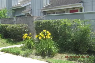 13037 Leader St, Houston, TX 77072 - Photo 3