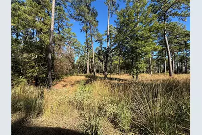030 Private Road 6026, Brookeland, TX 75931 - Photo 5