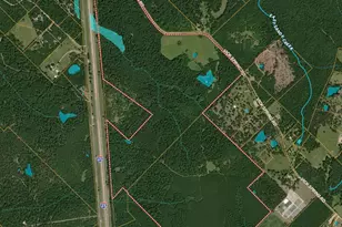 Tba Vick Spring Rd, New Waverly, TX 77358 - Photo 1