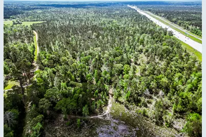 Tba Vick Spring Road, New Waverly, TX 77358 - Photo 13