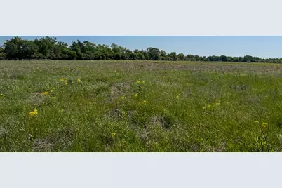 Tract # 2 County Road 123, Iola, TX 77861 - Photo 1