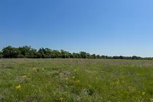 Tract # 2 County Road 123, Iola, TX 77861 - Photo 1