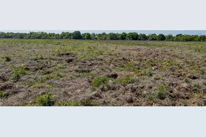 Tract # 2 County Road 123, Iola, TX 77861 - Photo 7