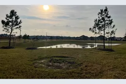 16905 Rich Pines Drive, Conroe, TX 77302 - Photo 19
