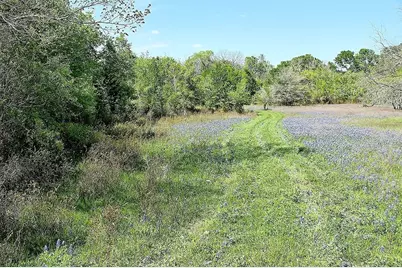 Tbd Scott Road, Weimar, TX 78962 - Photo 11