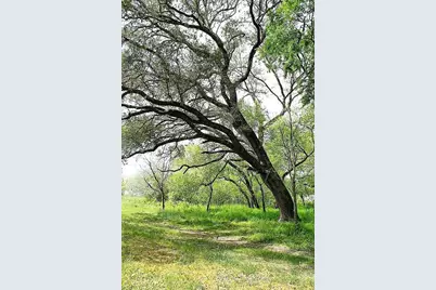 Tbd Scott Road, Weimar, TX 78962 - Photo 3