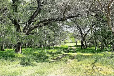 Tbd Scott Road, Weimar, TX 78962 - Photo 1