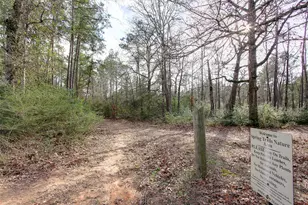 27243 Jessica Hills Ln, Spring, TX 77386 - Photo 43