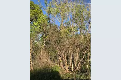 0 E Live Oak Road, Van Vleck, TX 77482 - Photo 5