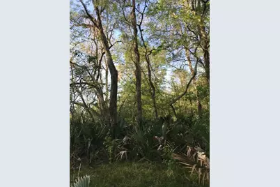 0 E Live Oak Road, Van Vleck, TX 77482 - Photo 3