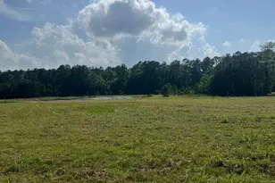 Tract 2- 000 Tbd Blackburn, Splendora, TX 77372 - Photo 1