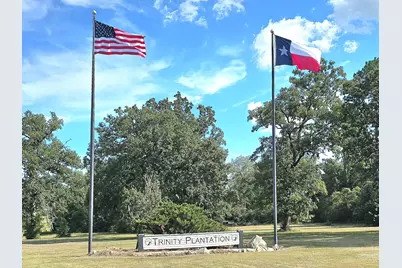 Lot 15 Monticello Street, Trinity, TX 75862 - Photo 3
