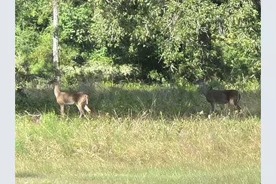 Lot 15 Monticello Street, Trinity, TX 75862 - Photo 9
