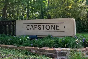 26 Candlenut Pl, The Woodlands, TX 77381 - Photo 43