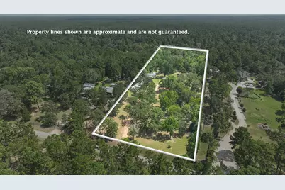 25139 Weeren Road, Montgomery, TX 77316 - Photo 3