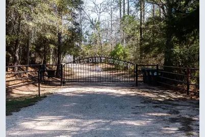 11041 Fm 1774, Plantersville, TX 77363 - Photo 5