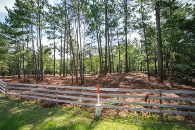 11041 Fm 1774, Plantersville, TX 77363 - Photo 7