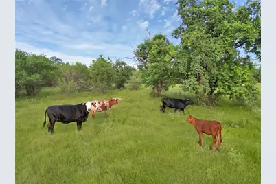 868 Lisa Mae Road, Bellville, TX 77418 - Photo 37