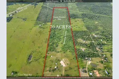 868 Lisa Mae Road, Bellville, TX 77418 - Photo 5