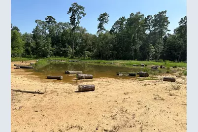 18974 Oak Hill Lane, Porter, TX 77365 - Photo 5