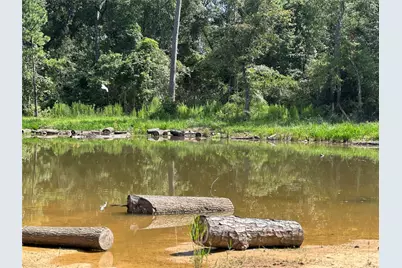 18974 Oak Hill Lane, Porter, TX 77365 - Photo 7