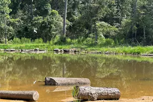 18974 Oak Hill Ln, Porter, TX 77365 - Photo 7