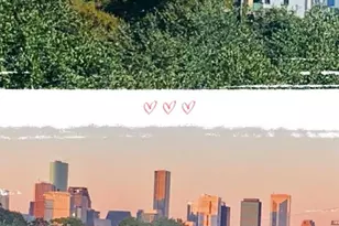 2334 Camden Dr, Houston, TX 77021 - Photo 41