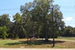26664 FM 1485, New Caney, TX 77357 - Photo 1