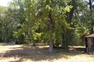 26664 FM 1485, New Caney, TX 77357 - Photo 7