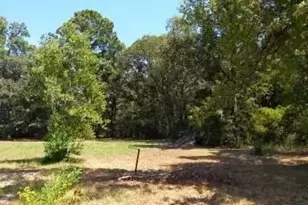 26664 FM 1485, New Caney, TX 77357 - Photo 5