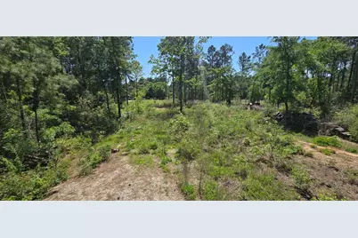 7898 Hawthorne Lane, Plantersville, TX 77363 - Photo 1