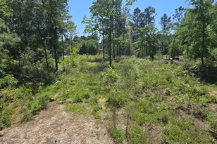 7898 Hawthorne Ln, Plantersville, TX 77363 - Photo 1