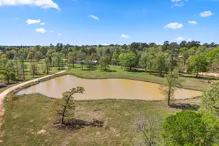 Tbd Keenan Cut Off Rd, Montgomery, TX 77316 - Photo 21