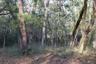 327 Coral Gables, Trinity, TX 75862 - Photo 1